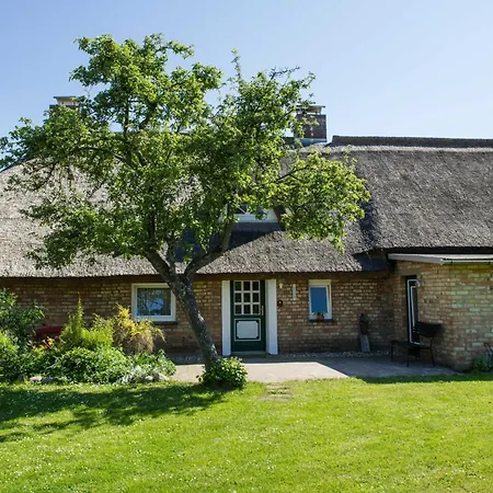 Augustin Mit Reetdach *