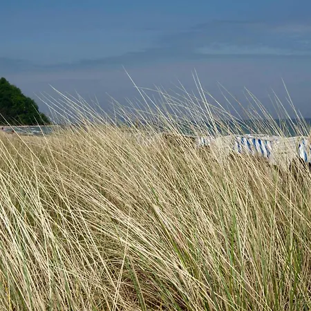 Augustin Mit Reetdach 펜션 바베