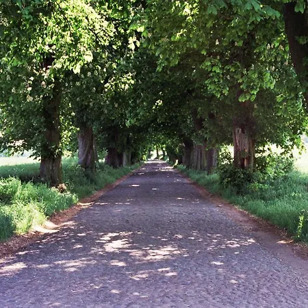 Augustin Mit Reetdach 펜션