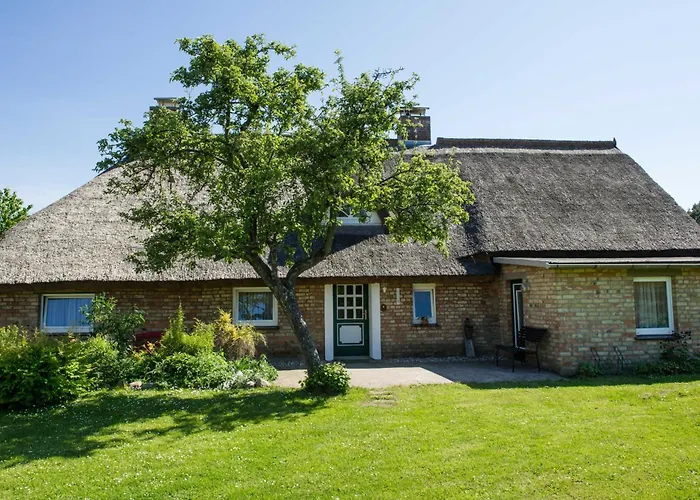 Augustin Mit Reetdach *