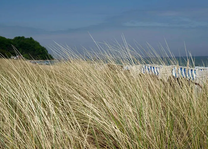 Augustin Mit Reetdach Feriehus Baabe