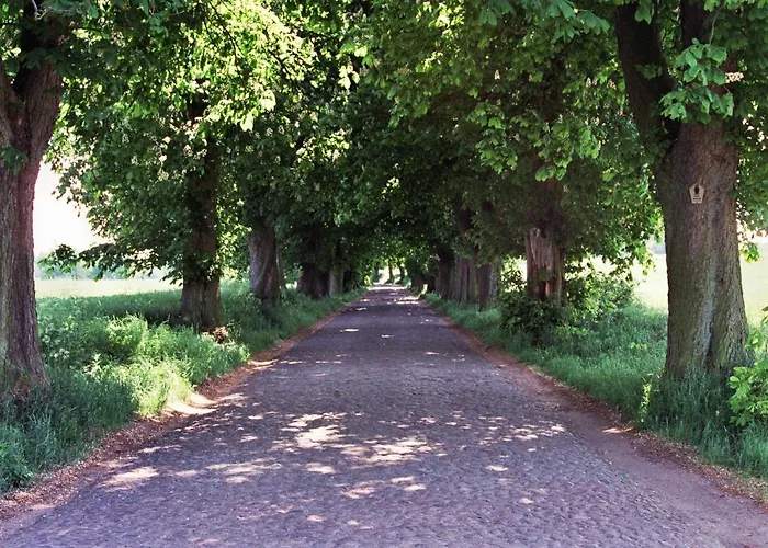 Augustin Mit Reetdach Feriehus